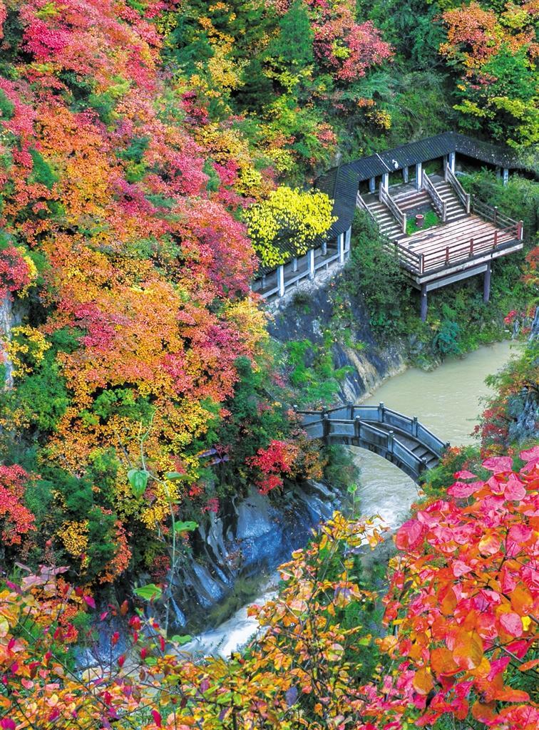 西狭颂红叶无边 陇南文旅局供图