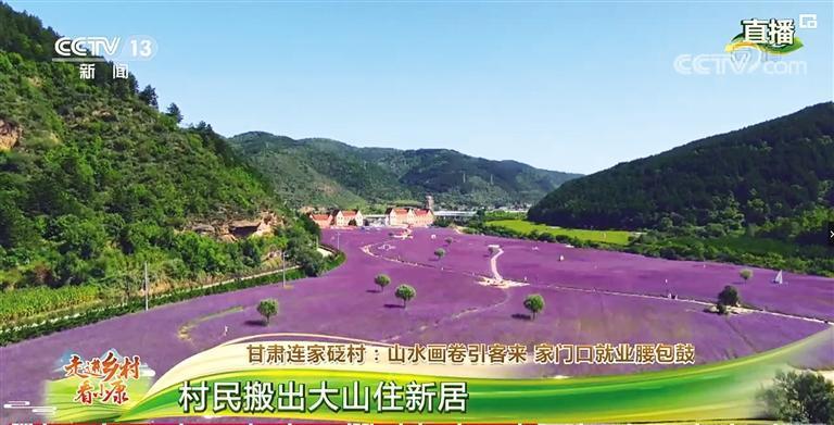 央视节目视频截图