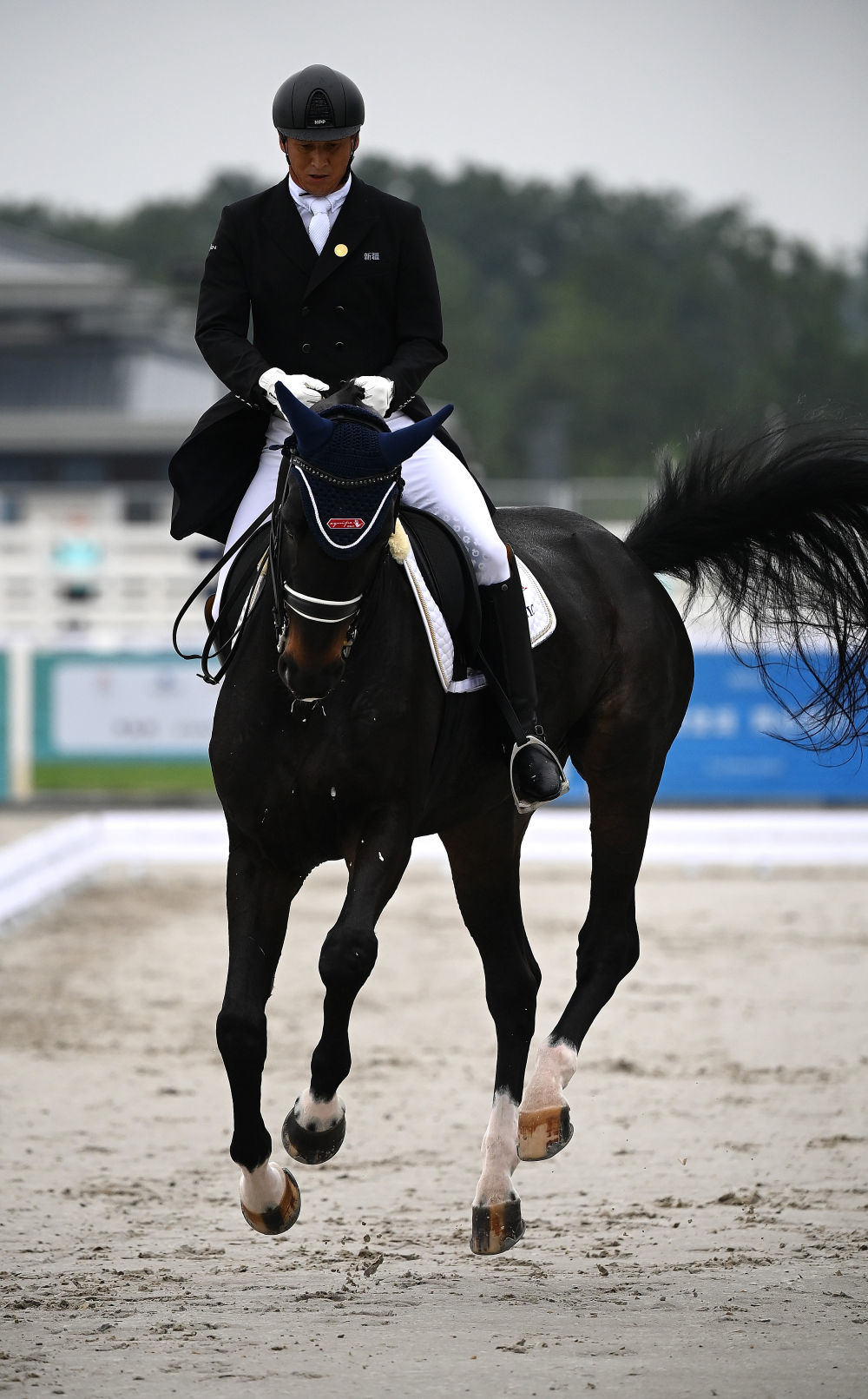 全运会马术广东队获得盛装舞步团体冠军
