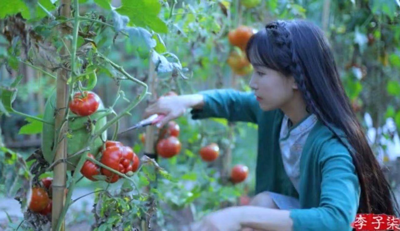 (图:李子柒田园视频截图。)