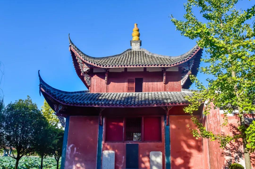 金华市澧浦镇蒲塘村崇文尚武生机盎然丨老家