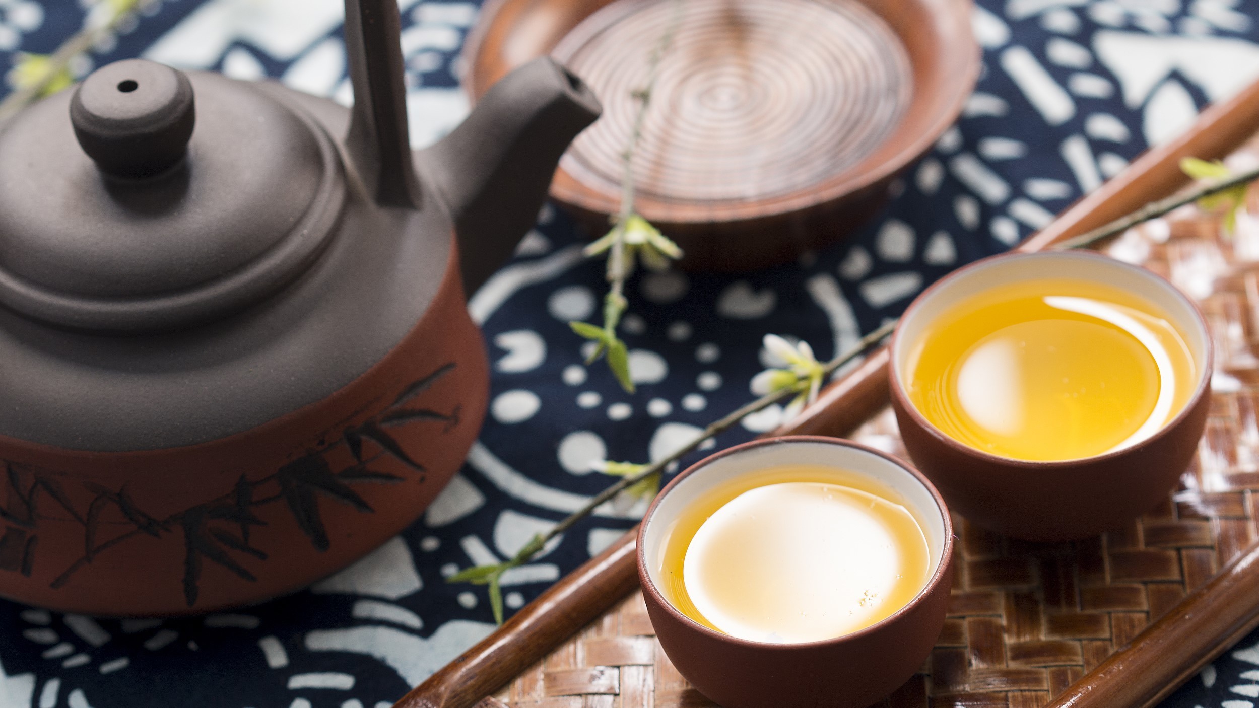 白露节气易秋燥,白茶适宜重养生