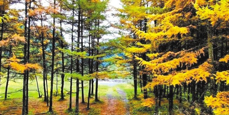 松鸣岩秋景 景区供图