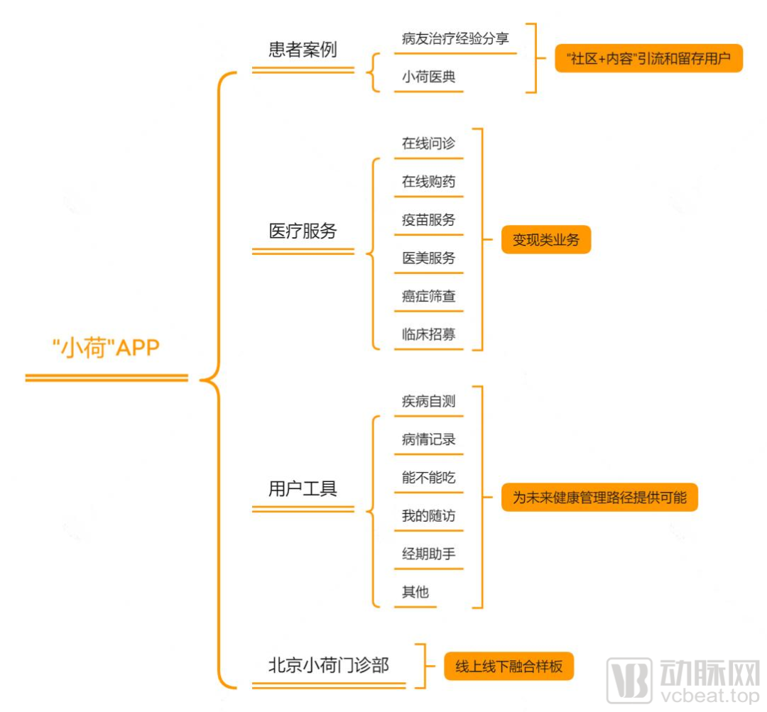 (信息参考自“小荷”APP 动脉网制图)