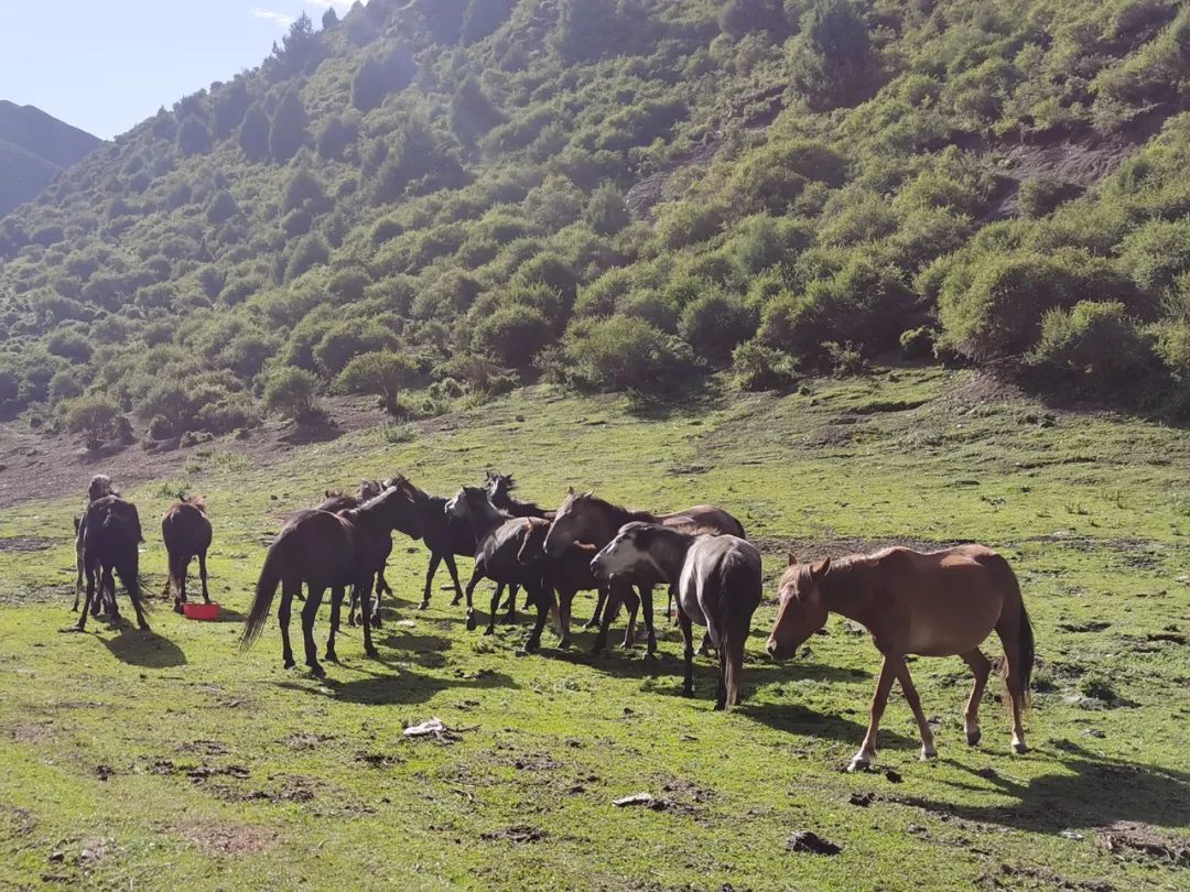 写生路上的风景