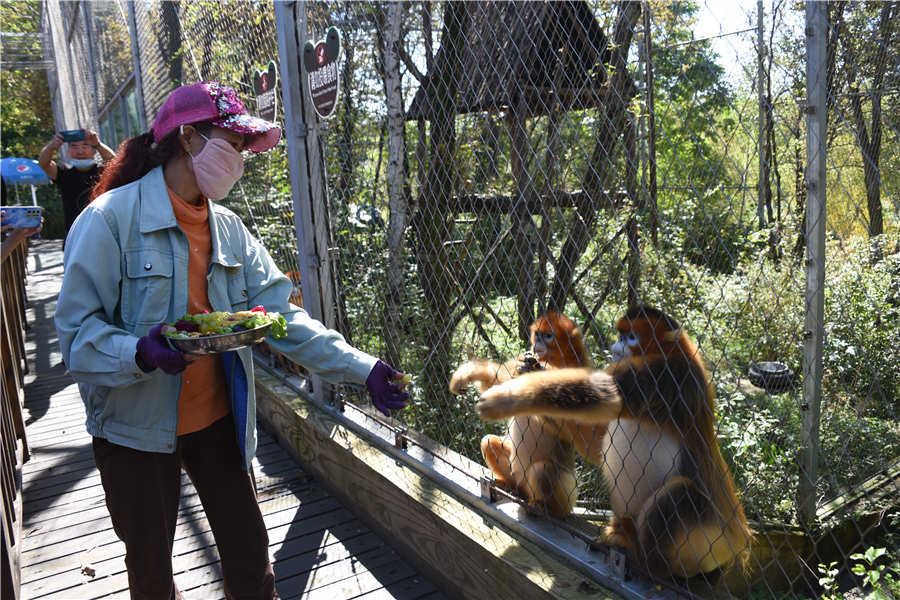 哈爾濱北方森林動物園為動物們開啟月餅主題美食街