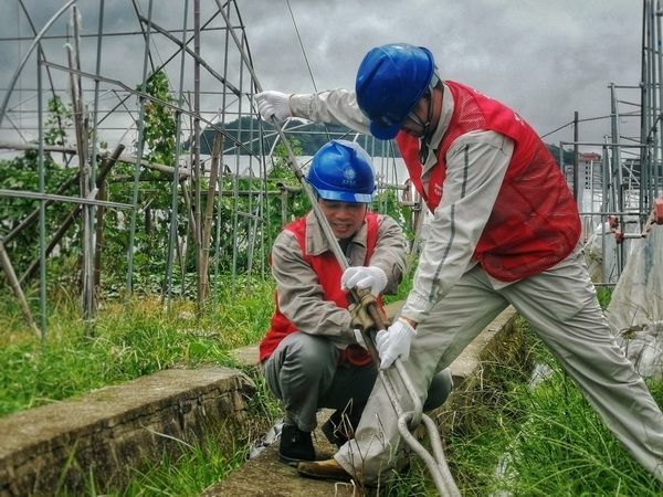9月12日，浙江台州市椒江区供电公司运维人员对35千伏线路廊道进行拉线紧固工作。叶晗迪 摄