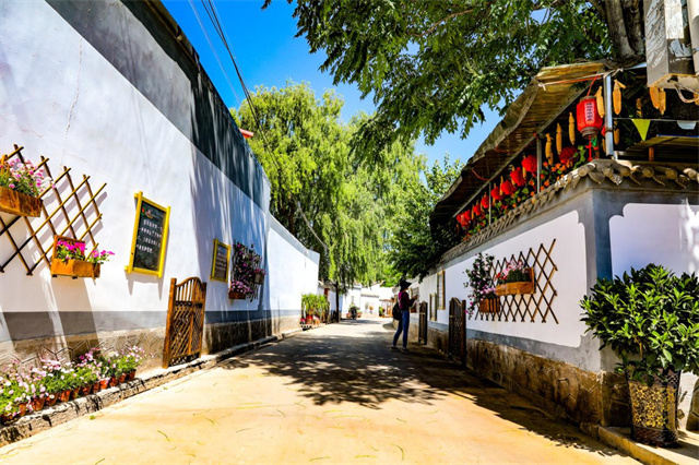 白银区水川镇顾家善村