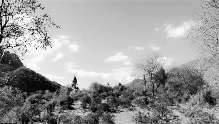 永登土鲁沟绿意渐退