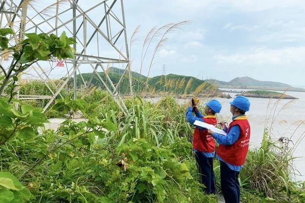 9月11日，浙江舟山供电公司组织各级抢修人员提前进驻住人孤岛，进一步加强偏远海岛供电服务和抢修力量。毛鲁楹 摄