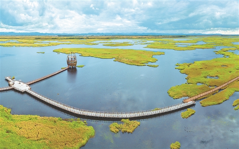 千鸟湖湿地.郭俊峰摄