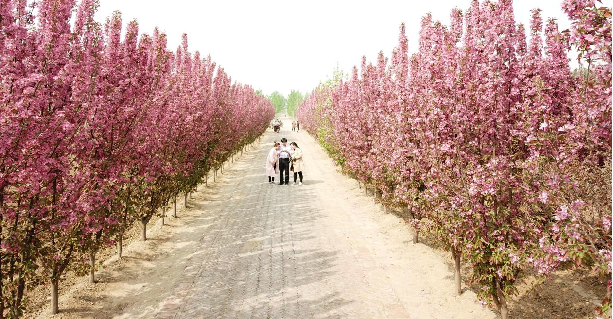 河北省农业农村厅推出11条休闲农业精品线路