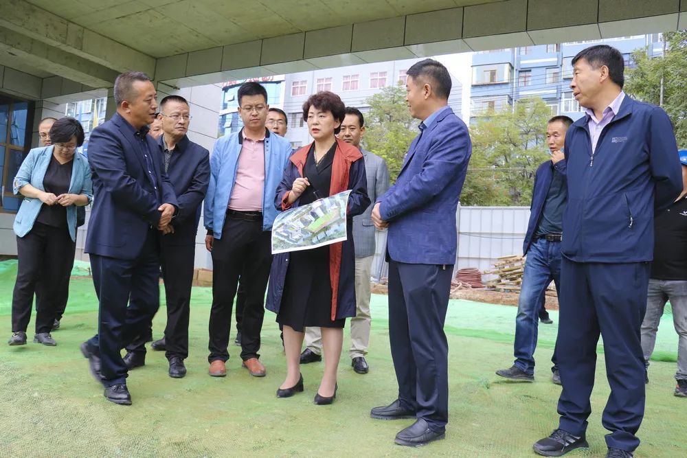 张莉调研教育项目:协调解决问题 变效果图为实景图