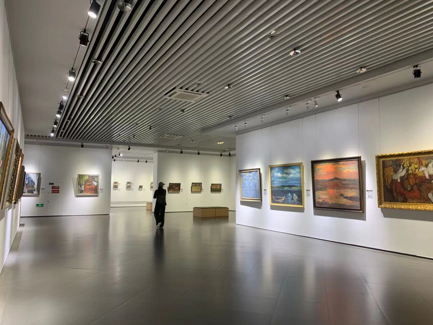 展览在哈尔滨美术馆举办此次画展,展出了俄罗斯功勋画家亚历山大·特