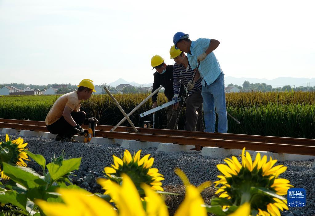 9月14日，工人在遵化市团瓢庄乡山里各庄村的景观稻田边铺设观景小火车轨道。