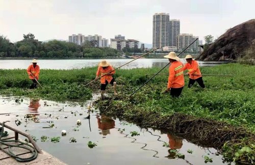 清理现场。通讯员供图