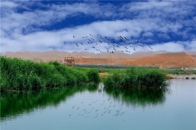 晴望川湿地公园