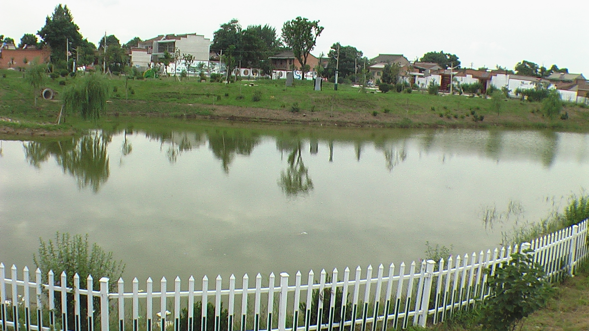 宝鸡市凤翔区白家凹村小涝池变身生态湖