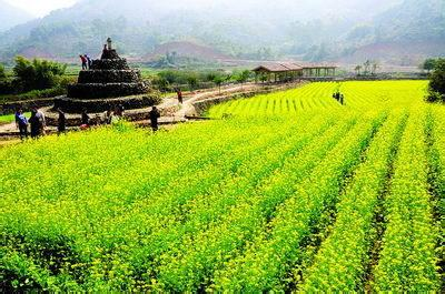 河北省农业农村厅推出11条休闲农业精品线路