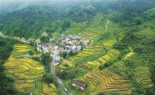 彩色村落乐安县金竹畲族乡大通村