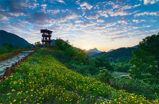 康县何家庄景区图片