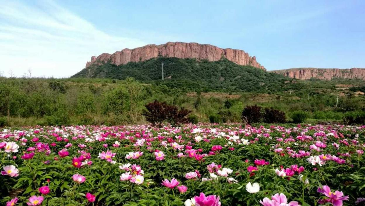 河北省农业农村厅推出11条休闲农业精品线路