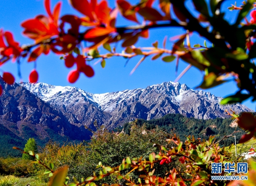 这是近日在甘肃省张掖市马蹄寺景区拍摄的祁连山风光 新华网发 王将 摄
