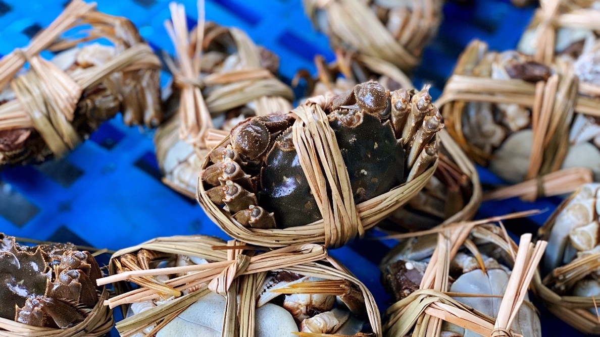 “翘首”等待装箱的洪泽湖大闸蟹。郝缦｜摄