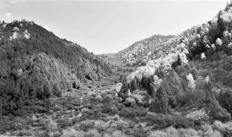 天祝三峡层林尽染