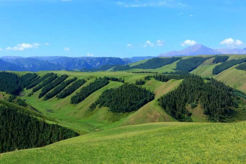 从红色热土到绿色生态基地张掖空中草原归来