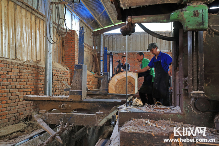 在河北省唐山市滦南县长凝镇西城子村一家木材加工厂，工人在加工木片。