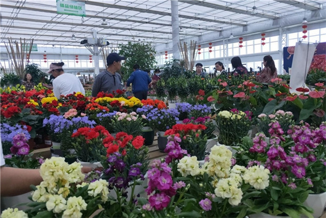 兰州新区花卉交易中心