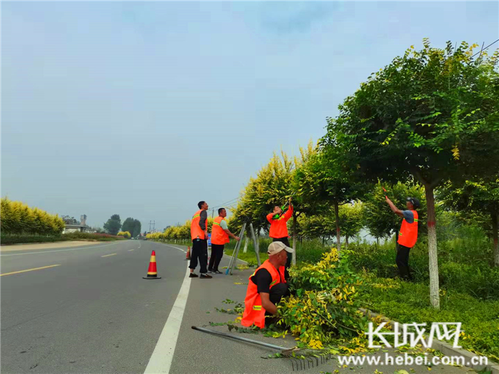 工作人员正在对路边的绿植进行修整。