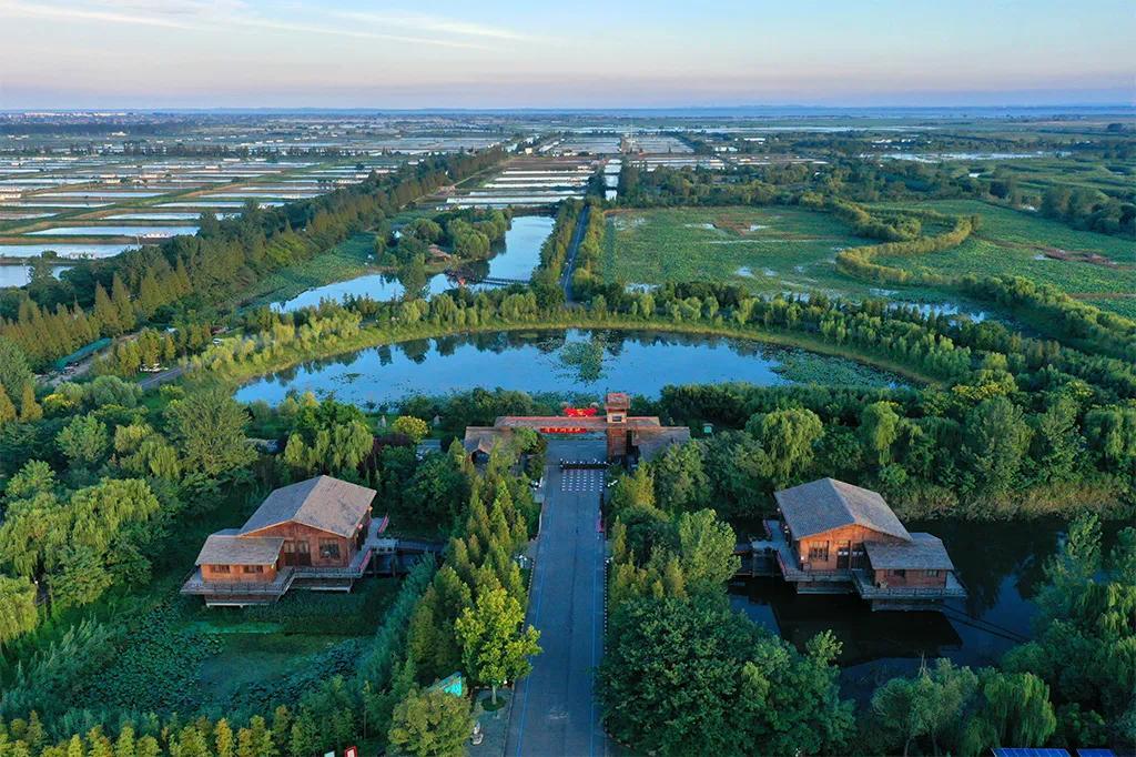 赏秋去处 洪泽湖湿地景区免门票延长至9月30日__凤凰网