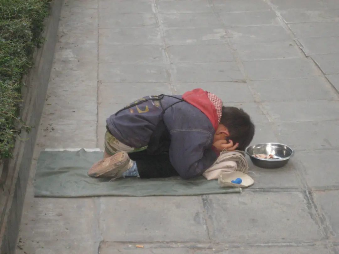 陈嘉映:救黑熊重要,还是帮助失学孩童更重要?_凤凰网文化读书_凤凰网