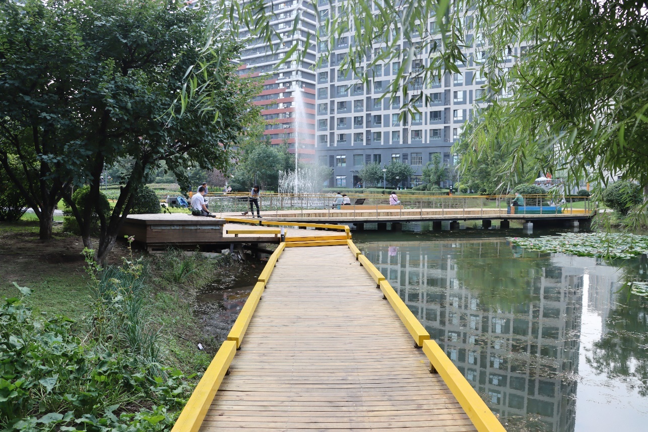 沈阳万科"美丽社区"行动 | 鹿特丹蝴蝶谷木桥重新开放
