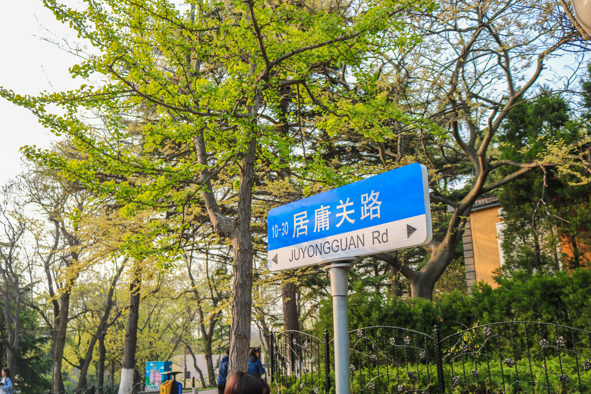 看!青岛的路卷起来了!