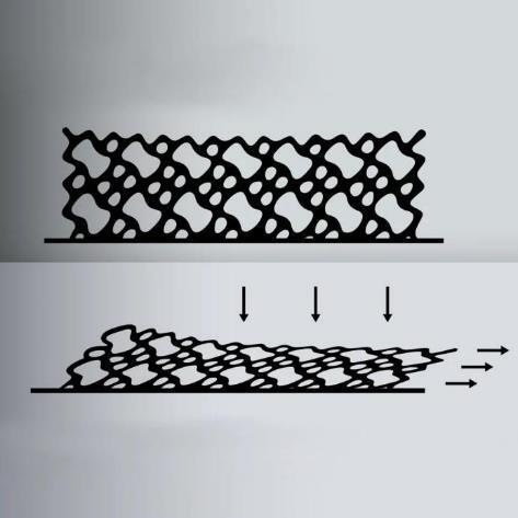 4470cd7bc725428549aec9981c136d41