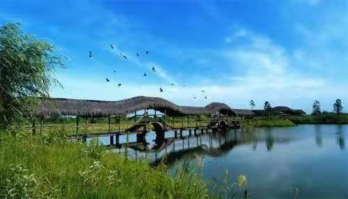 河北省农业农村厅推出11条休闲农业精品线路