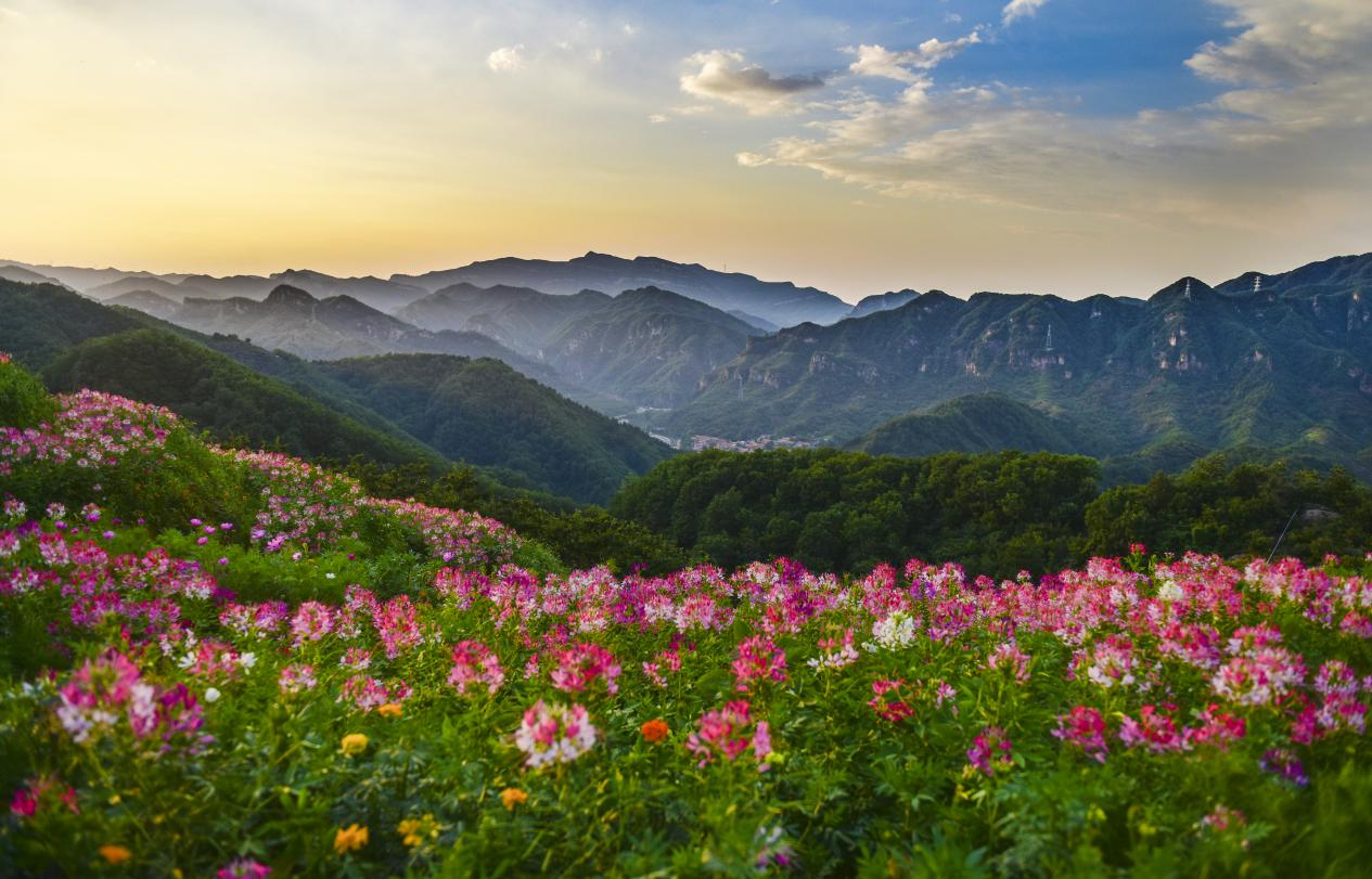 河北省农业农村厅推出11条休闲农业精品线路