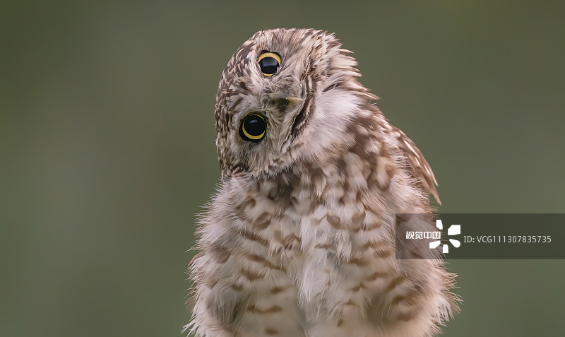 è07·010202040107020301è0905800_477