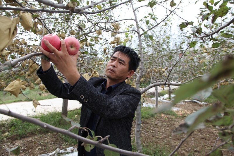 铜川宜君姚明强:带领群众致富奔小康凤凰网陕西_凤凰网