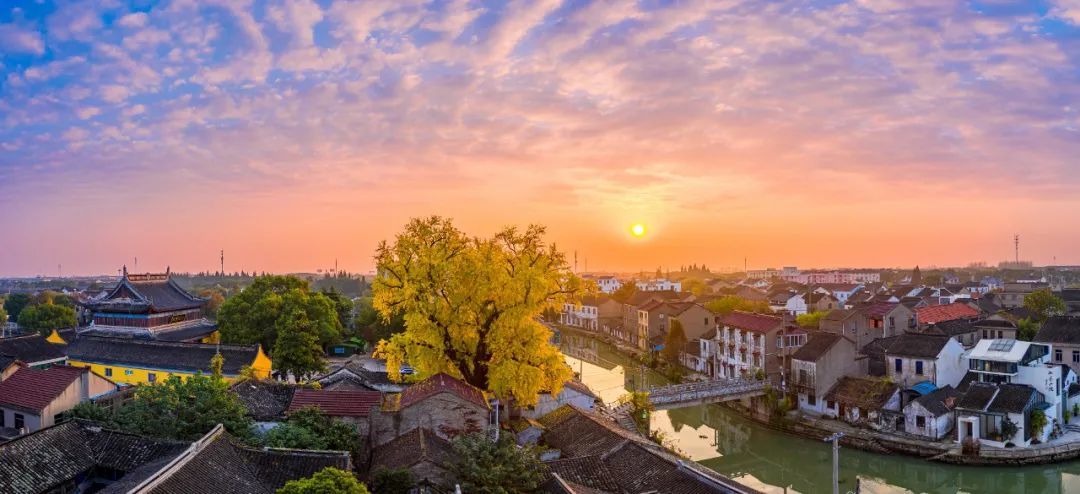 一般公共预算收入451亿元苏州相城区太平街道书写发展答卷