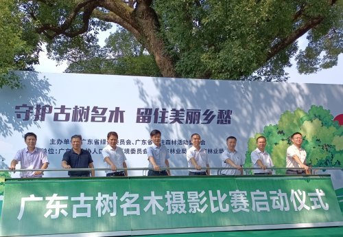 “守护古树名木 留住美丽乡愁”活动启动现场。信息时报记者 黄熙灯 摄