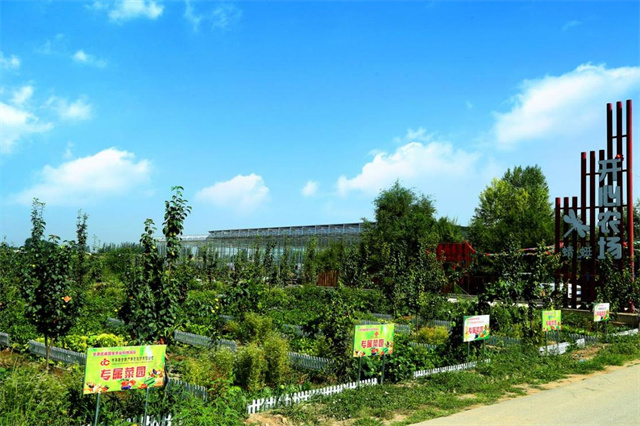 武威市凉州区高坝镇蜻蜓村