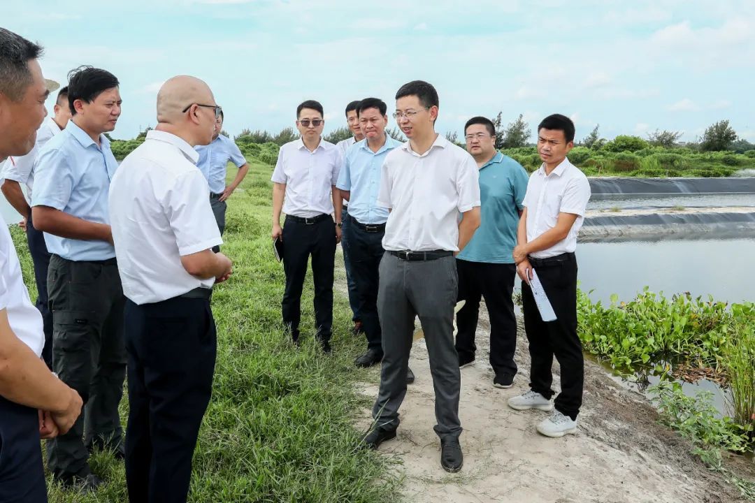 刘冲到文昌市昌洒冯坡调研征地规划和水产养殖尾水治理工作