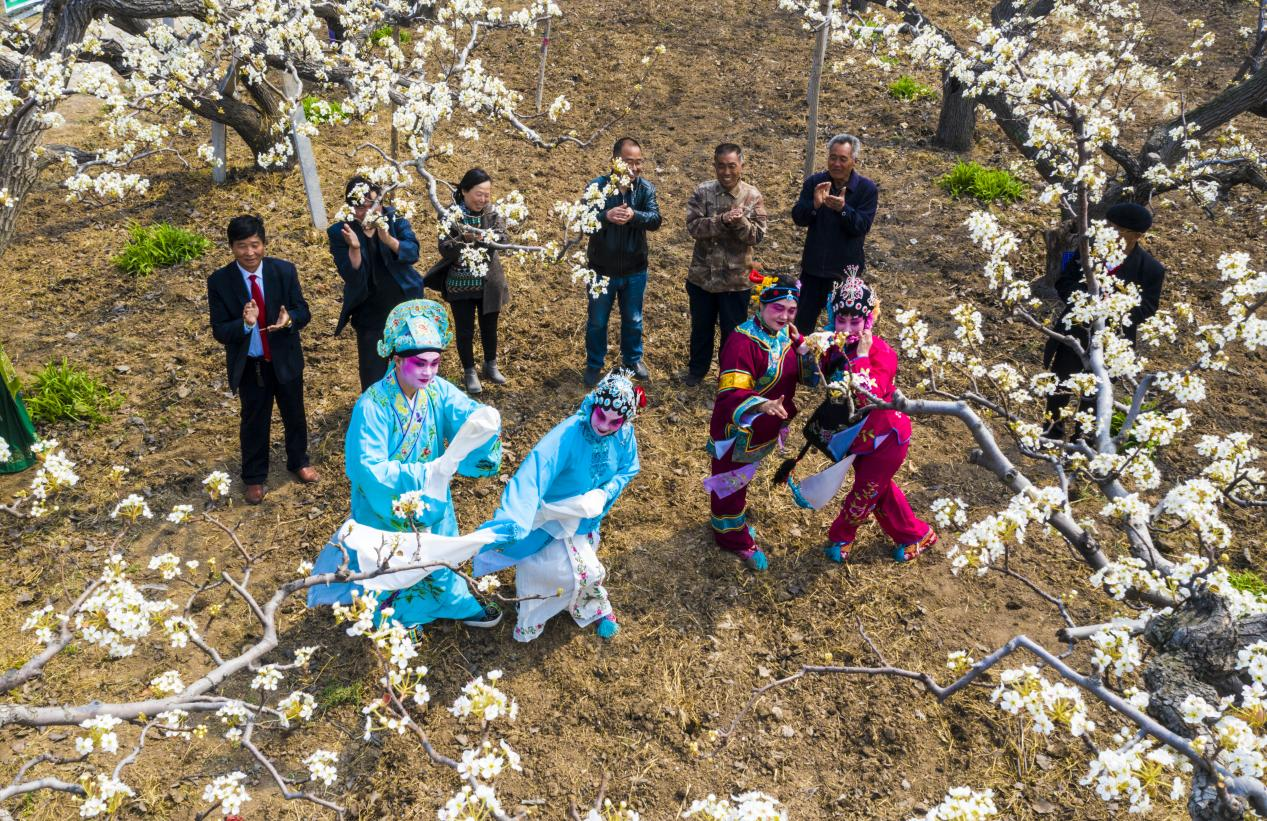 河北省农业农村厅推出11条休闲农业精品线路