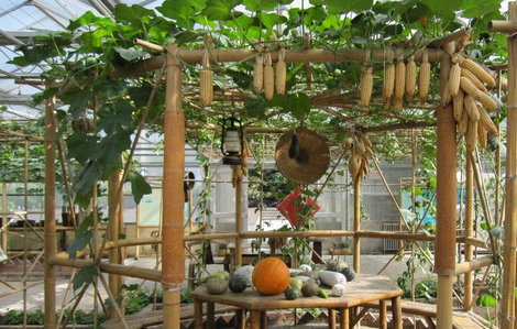 河北省农业农村厅推出11条休闲农业精品线路