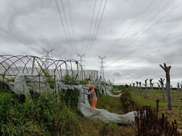 9月12日，浙江送变电公司宁波运检站对辖区500千伏输电线路开展特巡，消除沿线大棚、树木等安全隐患。黄波 摄