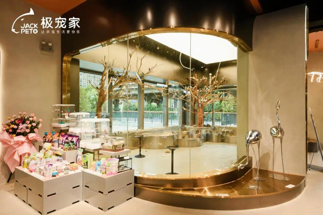 宠物食品趋势解读：如何为您的毛孩子选择合适的猫粮狗粮？